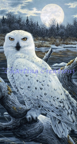 Snippet Snowy Owls - Click Image to Close